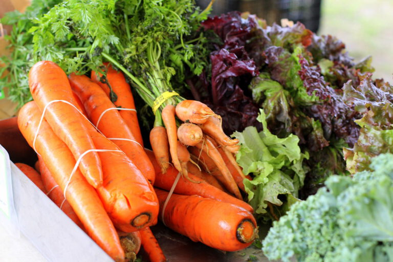 Misfits Market Review: Six Months of Imperfect Produce, Honestly Assessed