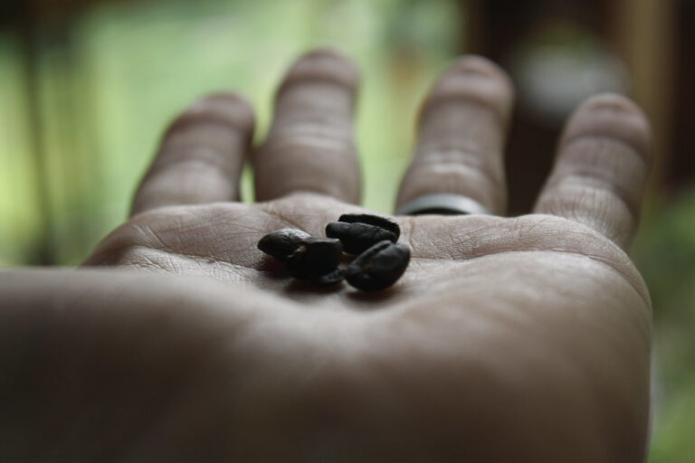 Trade Coffee Subscription Review: A Year of Specialty Beans From 50+ Roasters