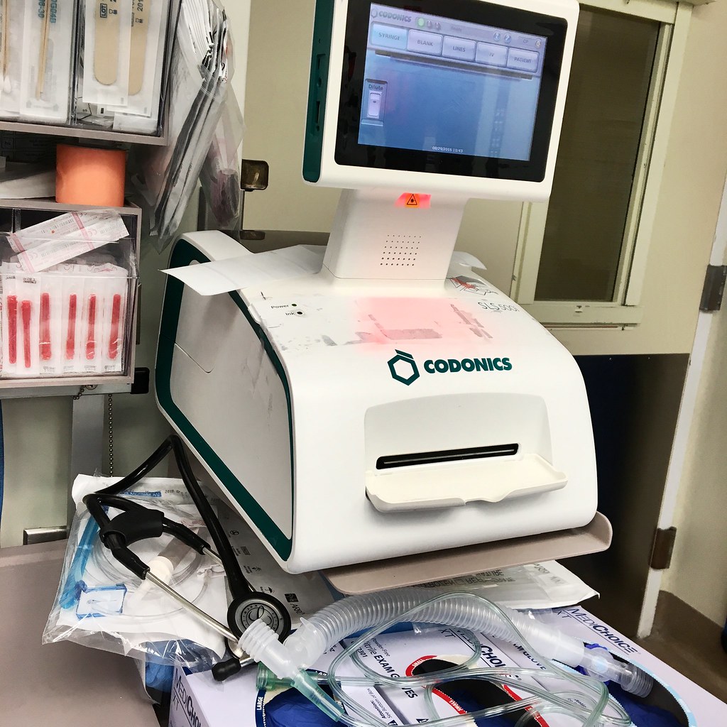 NIIMBOT B21 Label Printer Review: The Pocket Printer That Replaced Our P-Touch