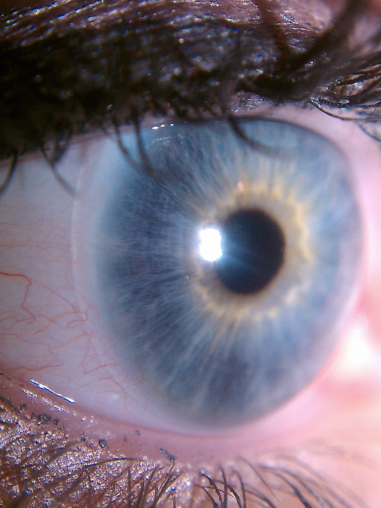 EyeCandy’s Colored Contacts Review: The Korean Brand That Outperforms Mainstream